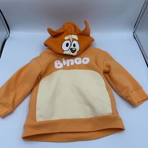 Bluey‎ Bingo Toddler Boys Fleece Matching Family Pullover Hoodie Size 2T